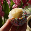 Big-A$$ Rainbow Vanilla Vegan Buckeyes 12-Pack - Image 3